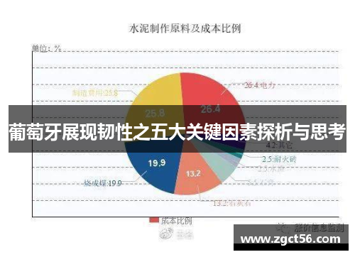 葡萄牙展现韧性之五大关键因素探析与思考