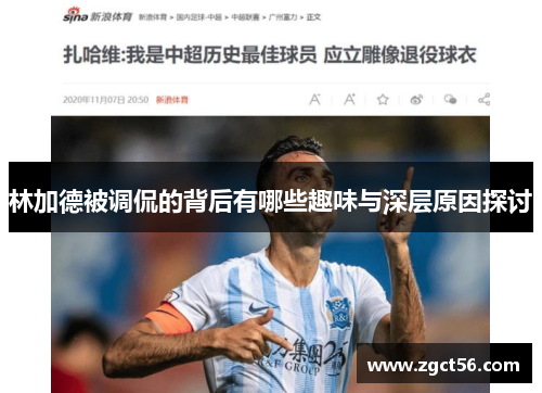 林加德被调侃的背后有哪些趣味与深层原因探讨